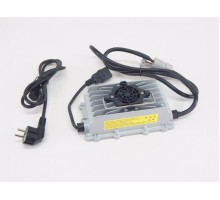 Зарядное устройство для штабелёров DYC/PEMS 12V/15A (Charger)