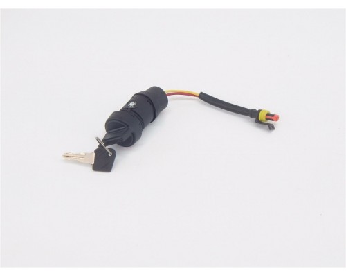 15/12 Замок зажигания в сборе для штабелёра WS/IWS/WPT (Key switch assy.)