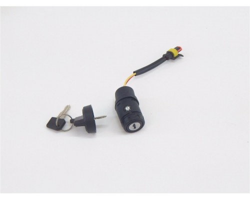 15/12 Замок зажигания в сборе для штабелёра WS/IWS/WPT (Key switch assy.)