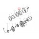 17 Шестерня ведущего колеса для штабелёра WS/IWS (15 Gear)