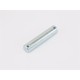 223 Ось 20х95 подвилочного ролика для тележки RHP (BF) (Shaft for double loading wheel)