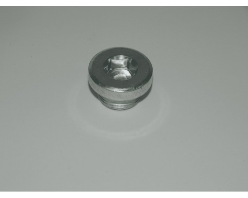 335 Заглушка (M20х1.5х12) для тележки RHP (BF) (Plug  M20х1.5х12)
