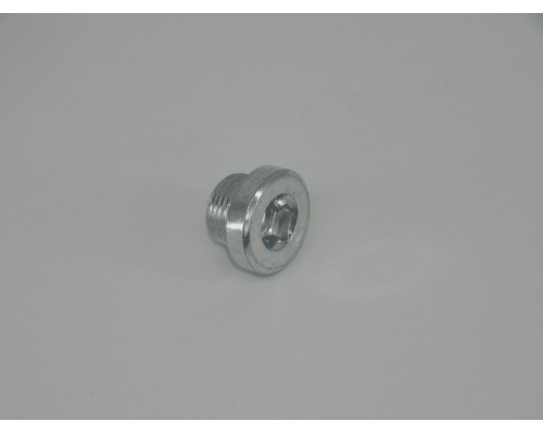 335 Заглушка (M20х1.5х12) для тележки RHP (BF) (Plug  M20х1.5х12)